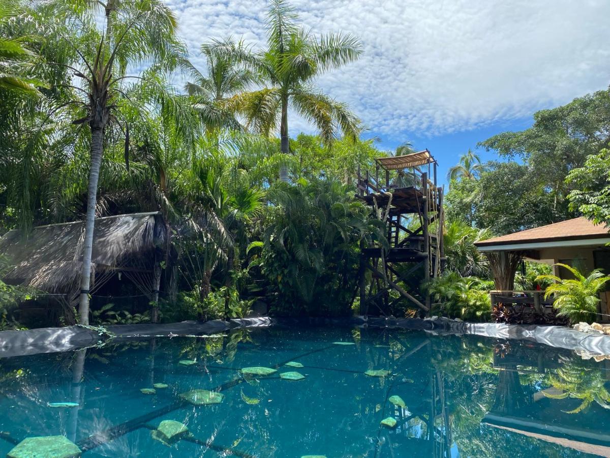 Jardin Secreto Centro Holistico Villa Acapulco Exterior photo