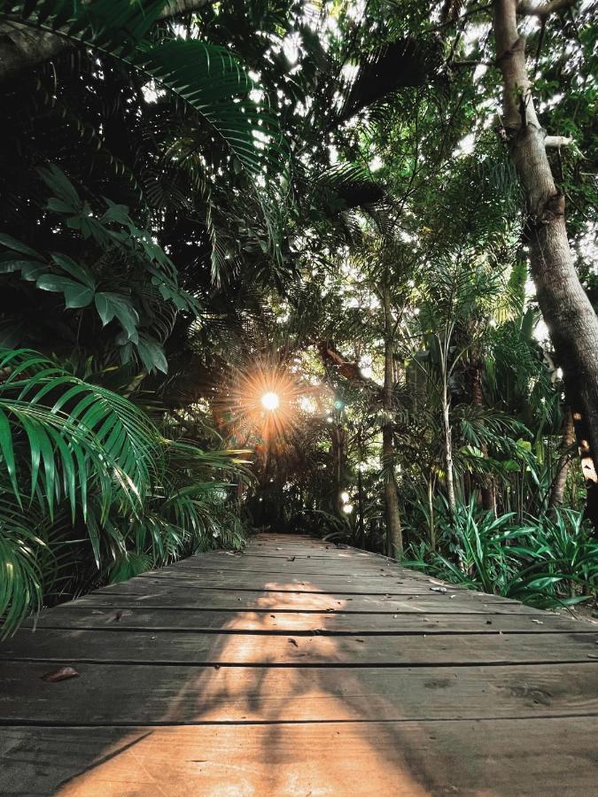 Jardin Secreto Centro Holistico Villa Acapulco Exterior photo