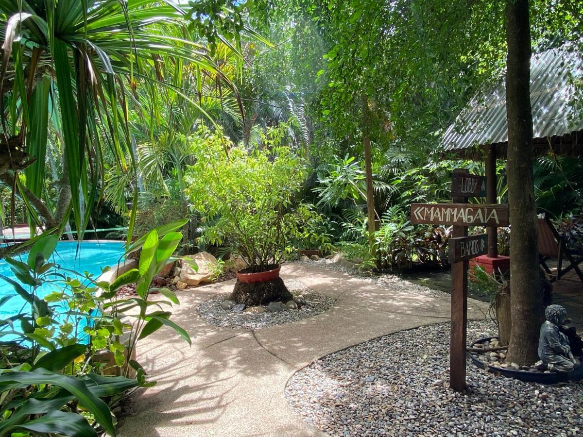 Jardin Secreto Centro Holistico Villa Acapulco Exterior photo