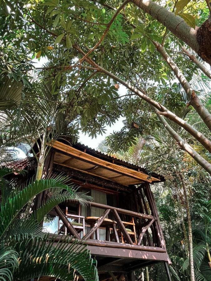 Jardin Secreto Centro Holistico Villa Acapulco Exterior photo